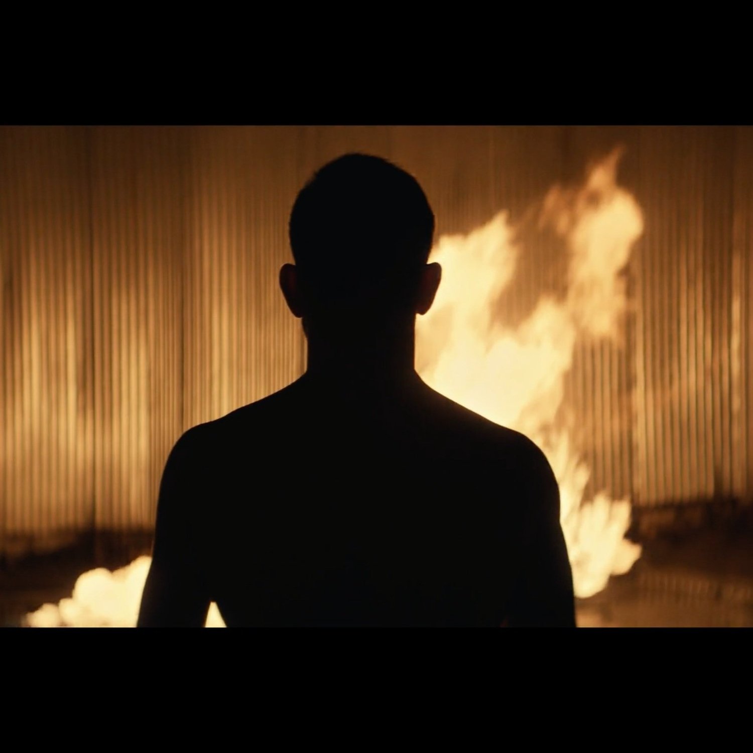 The Heat